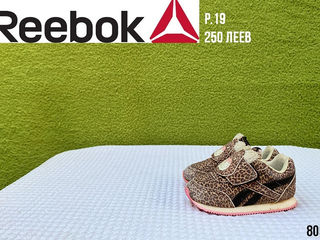 Primigi, Adidas, Elefanten, Reebok, Naturino, Ricosta. Размер 18-20. foto 6