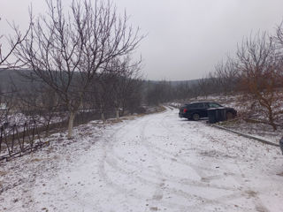 Afacere activa! Casa de locuit, depozit comercial, livada de nuci (67 ari), la doar7 km de Chisinau foto 4