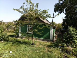 Продам два дома в селе Тырново foto 10