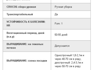 Коламбия f1.арбуз .hibrid de pepene verde . голландские семена. seminte profesionale din olanda. foto 4