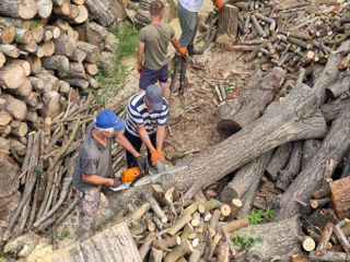 Servicii de curățare și întreținere a terenurilor foto 16