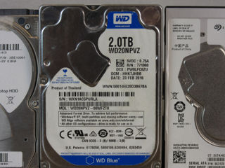 Жесткие диски HDD 2000GB (2TB) foto 3