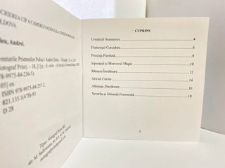 Carte pentru copii – “Aventurile prietenilor pufoși” foto 2