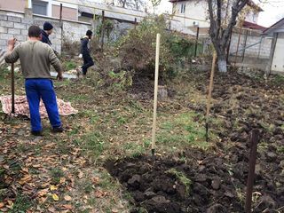 Уборка территорий, огородов, запущенных участков