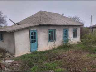 Продам дом в селе foto 2