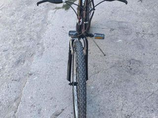 Bicicleta foto 5