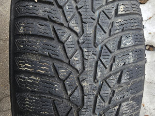 205/55 R16 Nokian WR WR D4 зимние шины