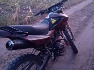 Lifan 250cc 169fmm foto 3