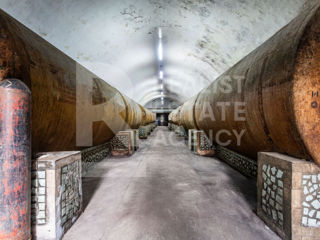 Vânzare, fabrică de vin, 12 000 mp + 5 ha, or. Vulcănești foto 2