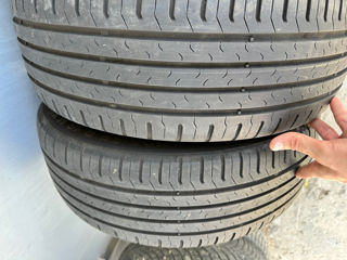 Continental ContiEcoContact 5 195/55 R16 87H foto 9