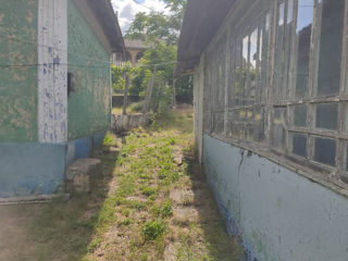 Se vinde casă bătrânească pe 23 de sote de pământ, loc liniștit, la doar 20 km de Chișinău foto 12