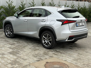 Lexus NX Series foto 12