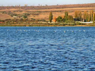 Lacul Ghidighici 14,5 ari (sote) pe malul drept!