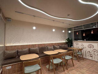 Mobilă pentru localuri, restaurante, terase, baruri. фото 3
