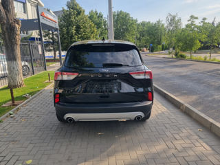 Ford Kuga foto 6