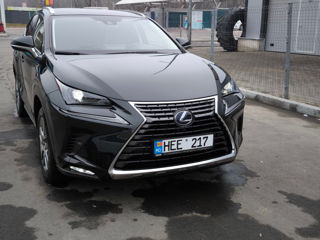 Lexus NX Series foto 3