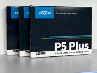 SSD Crucial P5 Plus - 2 TB - Sigilate