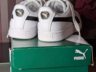 Puma Basket Classic LFS foto 2