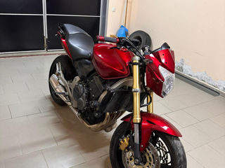 Honda Hornet