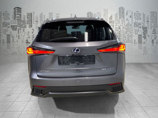 Lexus NX Series foto 4