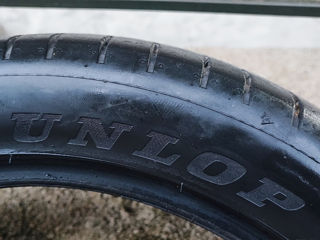 Dunlop 2021.   Lassa 2019