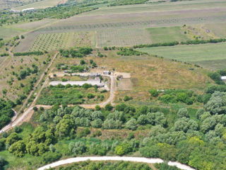 Teren 6hectare + depozit 900m2 (Proprietar) foto 9