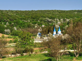 Pelerinaje la 11 manastiri din moldova 2024, timp de 1 zi, zilnic, grupuri de 6/20/45/55 persoane