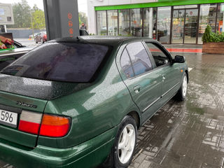 Nissan Primera foto 5