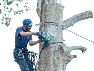 Defrișarea pomilor pe bucăti în spații închise,lucram fara auto turn. Alpeniști. foto 5