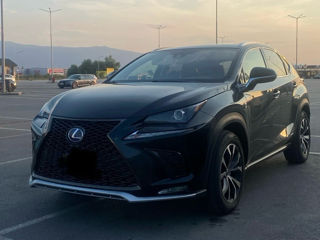 Lexus NX Series