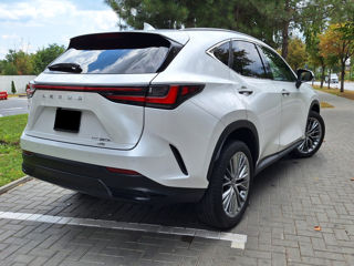 Lexus NX Series foto 6