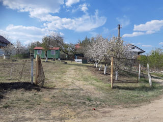 Dumbrava noua, Chisinau foto 14