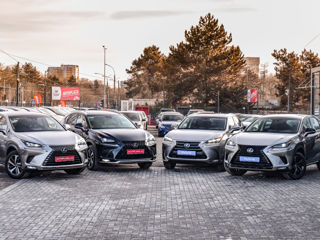 Lexus NX Series