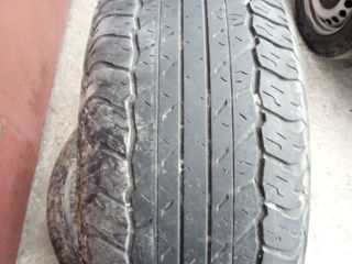 265х65х17  Dunlop  4  Ската 1300 лей foto 5