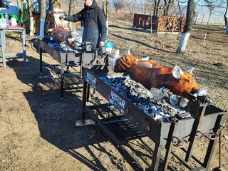 Purcelus Berbecuț la Rotisor, frigărui, legume și multe altele foto 8