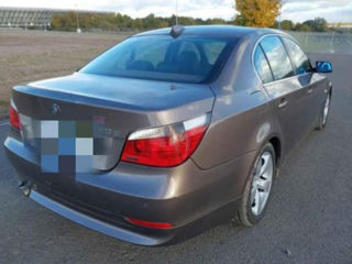 BMW 5 Series foto 4