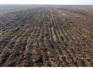 Se vinde 1.85 hectare de pamint arabil în orașul Leova.