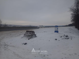 Teren agricol 100 ari! Cojușna!