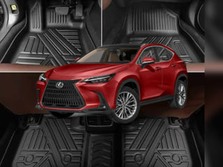 Covoare NX Lexus 2022-2025