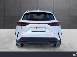 Lexus NX Series foto 5