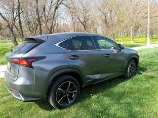 Lexus NX Series foto 3