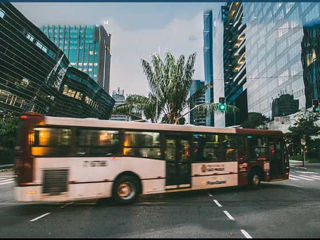 Autobuz Chișinău – Constanța | Plecări directe, preț avantajos foto 0
