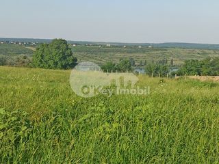 Teren agricol ( posibil de schimbat destinația) ,460 ari, Cojușna, 235000 € foto 5