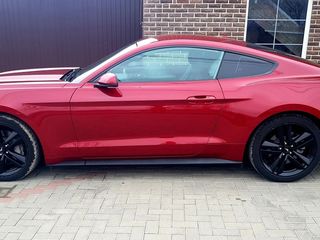 Ford Mustang foto 5