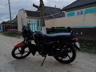 Alpha Moto 110 foto 5