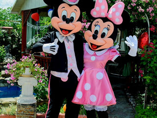 Mickey si minnie mouse animatori in Moldova / costumatie roz / микки и минни маус аниматоры foto 9