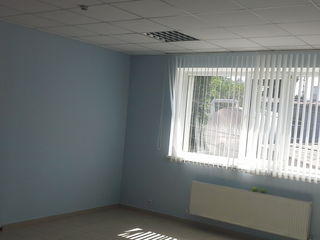 Сдаются в аренду офисные помещения 320 M2 foto 8