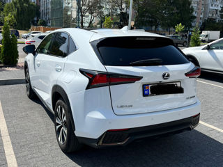 Lexus NX Series foto 3