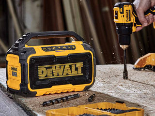 DeWalt DCR010