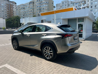 Lexus NX Series foto 10